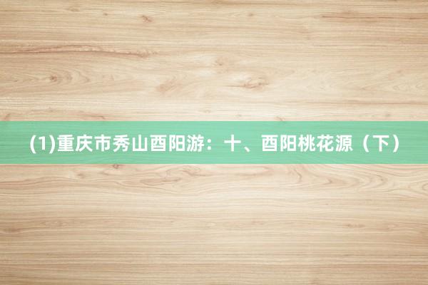 (1)重庆市秀山酉阳游：十、酉阳桃花源（下）