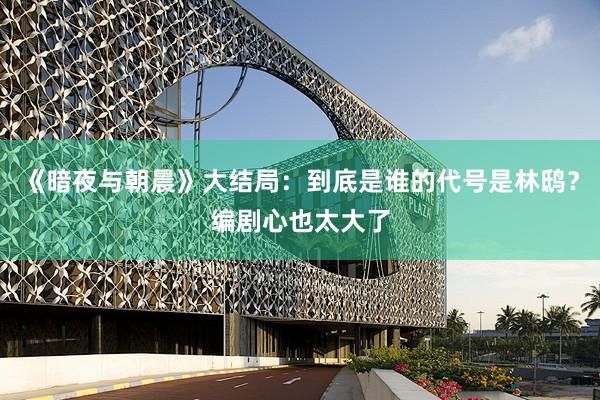 《暗夜与朝晨》大结局：到底是谁的代号是林鸱？编剧心也太大了