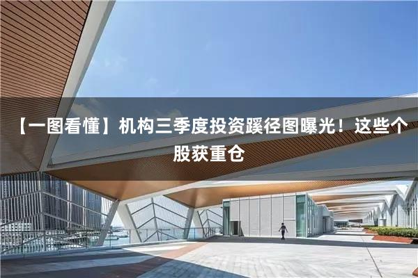 【一图看懂】机构三季度投资蹊径图曝光!这些个股获重仓