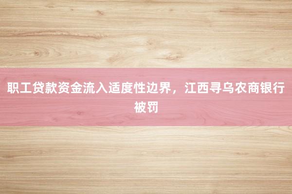 职工贷款资金流入适度性边界，江西寻乌农商银行被罚