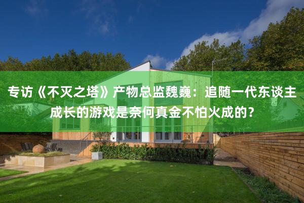 专访《不灭之塔》产物总监魏巍：追随一代东谈主成长的游戏是奈何真金不怕火成的？