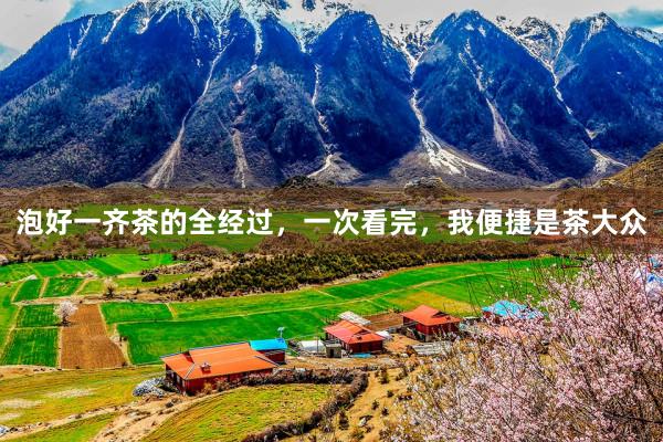 泡好一齐茶的全经过，一次看完，我便捷是茶大众