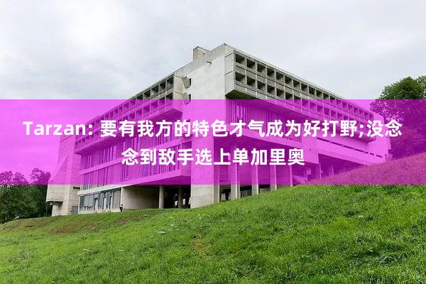 Tarzan: 要有我方的特色才气成为好打野;没念念到敌手选上单加里奥