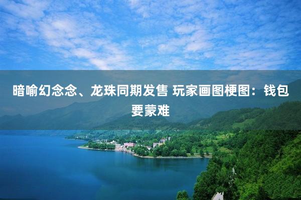 暗喻幻念念、龙珠同期发售 玩家画图梗图：钱包要蒙难