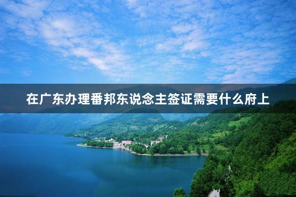 在广东办理番邦东说念主签证需要什么府上