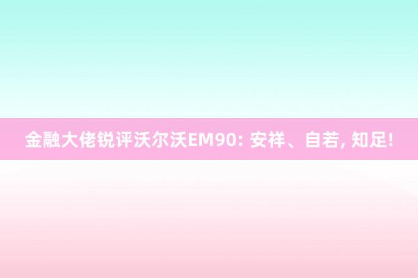 金融大佬锐评沃尔沃EM90: 安祥、自若, 知足!