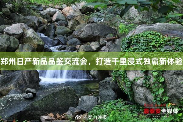 郑州日产新品品鉴交流会，打造千里浸式独霸新体验